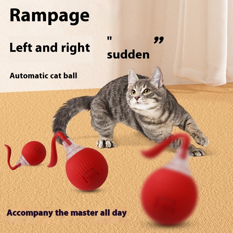 Cat Toy Interactive