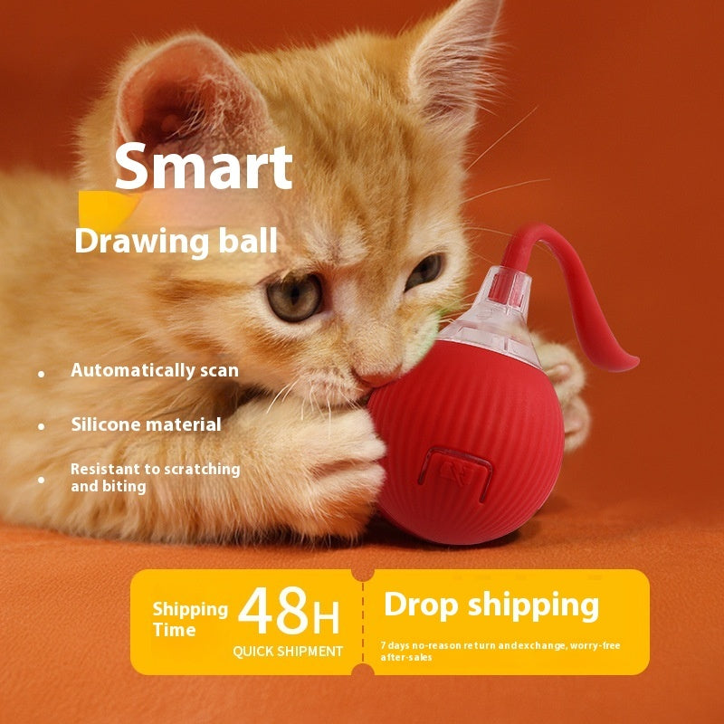 Cat Toy Interactive