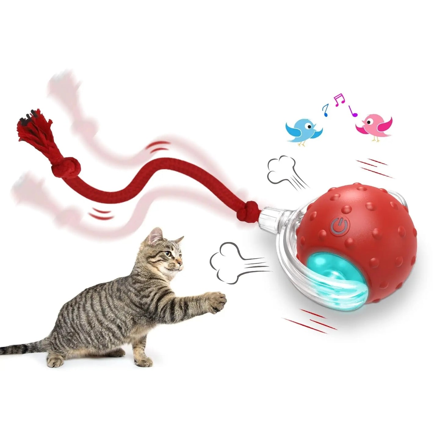 Cat Toy Interactive